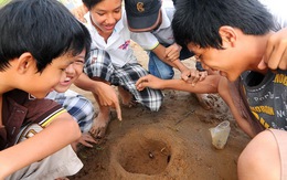 Tiếng dế sau mưa