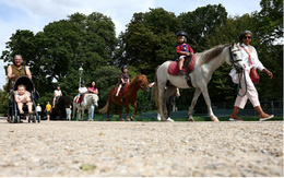 Paris sẽ cấm dịch vụ cưỡi ngựa con vào năm 2025