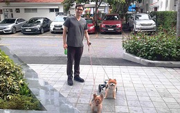 Bác sĩ nước ngoài tình nguyện chăm sóc thú cưng tại Việt Nam