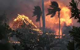 Nạn nhân cháy rừng Hawaii đối mặt nguy cơ 'cháy não'