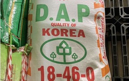 Tạm dừng nhập khẩu phân DAP từ Hàn Quốc là không chính xác