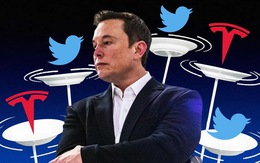 Elon Musk khiến Tesla mất 20.000 USD mỗi năm vì chính sách của X?