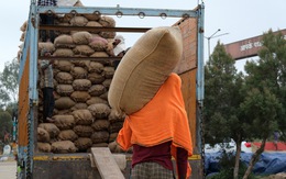 Ấn Độ lại siết thêm xuất khẩu gạo, ảnh hưởng nguồn cung toàn cầu