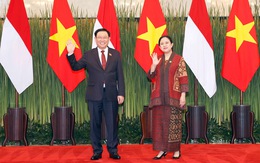 Phấn đấu kim ngạch thương mại Việt Nam, Indonesia vượt 15 tỉ USD