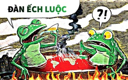 Trái đất 'mát' và đàn ếch luộc