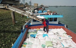 Bộ Công Thương hỏa tốc đề nghị doanh nghiệp không mua gom ồ ạt lúa gạo
