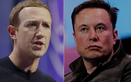 Elon Musk sẽ đấu Mark Zuckerberg ngày 26-8, livestream trên X?