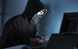 Nhân viên tư vấn ngầm làm hacker khiến công ty tài chính cho vay sai 29 tỉ