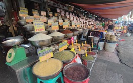 'Nóng' xuất khẩu gạo, đảm bảo đủ gạo cho TP.HCM trong mọi tình huống thế nào?