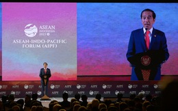 Indonesia với dấu ấn sáng kiến AIPF trong năm ASEAN 2023