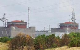 Nga nói bắn hạ 6 drone gần Nhà máy điện hạt nhân Zaporizhzhia