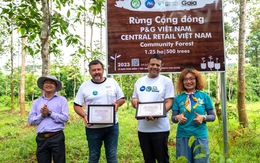 P&G Việt Nam và Central Retail Việt Nam cùng tham gia trồng rừng