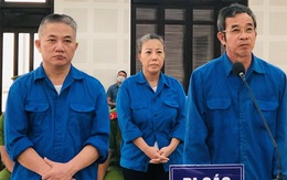 Tăng hình phạt hai người đưa hối lộ cựu chủ tịch quận ở Đà Nẵng