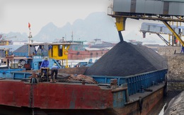 Mỗi năm xuất khẩu hơn 2 triệu tấn than, vì sao phải bán cho Nhật?