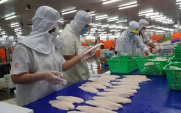 Mỹ đánh giá rất cao việc kiểm soát an toàn thực phẩm cá tra Việt Nam