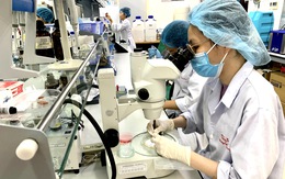 Công bố quốc tế của Việt Nam cao hơn công bố khoa học trong nước