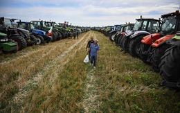 Ukraine đồng ý xuất khẩu ngũ cốc sang Slovakia