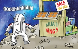 Bánh trung thu sale sập sàn