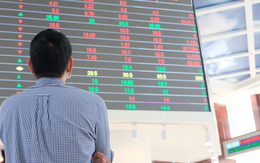Công ty chứng khoán miệt mài mua ròng 500 tỉ suốt 4 phiên thị trường 'đỏ lửa'