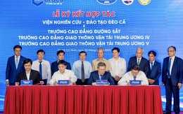 Lập Viện Nghiên cứu - Đào tạo Đèo Cả phát triển nhân lực giao thông