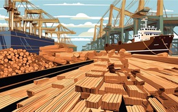 Xuất khẩu gỗ đã hết khó chưa?