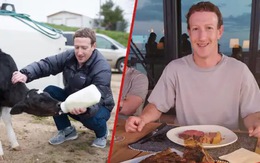Dự án của tỉ phú Zuckerberg bị chế nhạo khi cho bò ăn hạt mắc ca và uống bia