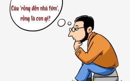 Câu đố hack não: Câu 'rồng đến nhà tôm', rồng là con gì?