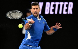 Djokovic nổi quạu với cổ động viên quá khích