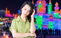 Được công ty cho nghỉ phép vì lý do 'đi làm mà chán quá trời'