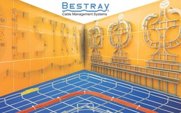 Bestray - nhà sản xuất máng lưới, thang máng cáp đạt chuẩn TCVN và IEC