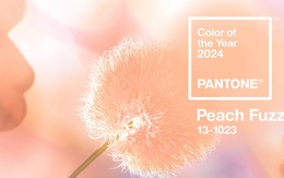 Pantone nghĩ gì khi chọn Peach Fuzz làm màu của năm?