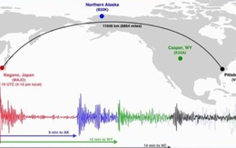 Động đất ở Nhật gây hiệu ứng gợn sóng toàn cầu, Trái đất rung như chuông