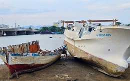 Vụ 'nghĩa địa' tàu đắm ở Nha Trang: Sẽ trục vớt các xác tàu
