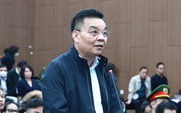 Luật sư đề nghị cho cựu bộ trưởng Chu Ngọc Anh hưởng mức án bằng thời hạn tạm giam