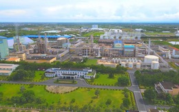 Phân bón Cà Mau hoàn thành kế hoạch sản xuất kinh doanh 2023