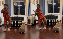 Chú chó ngồi hát cho cô chủ nhảy vũ điệu Làng lá