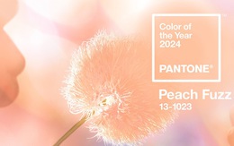 Peach Fuzz - màu của năm 2024: tin vào Việt Nam bình yên, hạnh phúc
