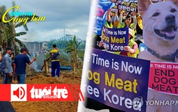 Điểm tin 18h: Máy bay quân sự rơi ở Quảng Nam; Hàn Quốc thông qua luật cấm tiêu thụ thịt chó