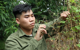 Mẹ đơn thân đau ốm nợ nần, con trai đậu Trường đại học Bách khoa Hà Nội