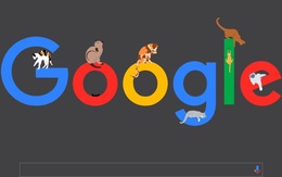 Yêu cầu Google hủy việc kiếm tiền vĩnh viễn với các kênh phát thông tin sai về khí hậu