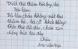 'Cười chảy nước mắt' với những bài văn bá đạo của học trò