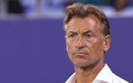 Saudi Arabia tái bổ nhiệm HLV Herve Renard sau khi sa thải Roberto Mancini