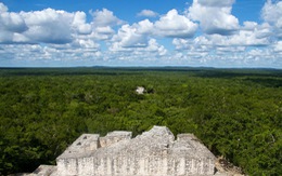 Thành phố cổ Maya được tìm thấy trong rừng rậm Mexico