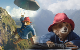 Gấu Paddington tái xuất, quậy đục nước trong chuyến phiêu lưu mới