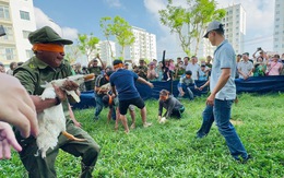 Người lớn, trẻ con cười nắc nẻ trong ‘Ngày hội đại đoàn kết toàn dân tộc’