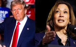 Ông Donald Trump thích Cuốn theo chiều gió, bà Kamala Harris mê vũ trụ Marvel?