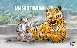 Khi muông thú cũng đau đầu vì... tiền