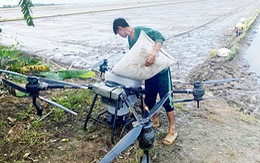 Drone nông nghiệp: Tiện lợi nhưng cần cẩn trọng với 'cánh quạt quay vù vù'