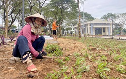 Đà Nẵng yêu cầu kiểm tra 100% quỹ đất công ích toàn thành phố