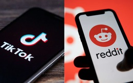 TikTok và Reddit có thể là nền tảng trực tuyến được tìm kiếm nhiều nhất?